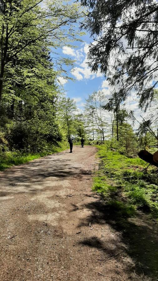 Harz-Huette - Schnuckelig Fewo In St. Andreasberg Sankt Andreasberg Kültér fotó